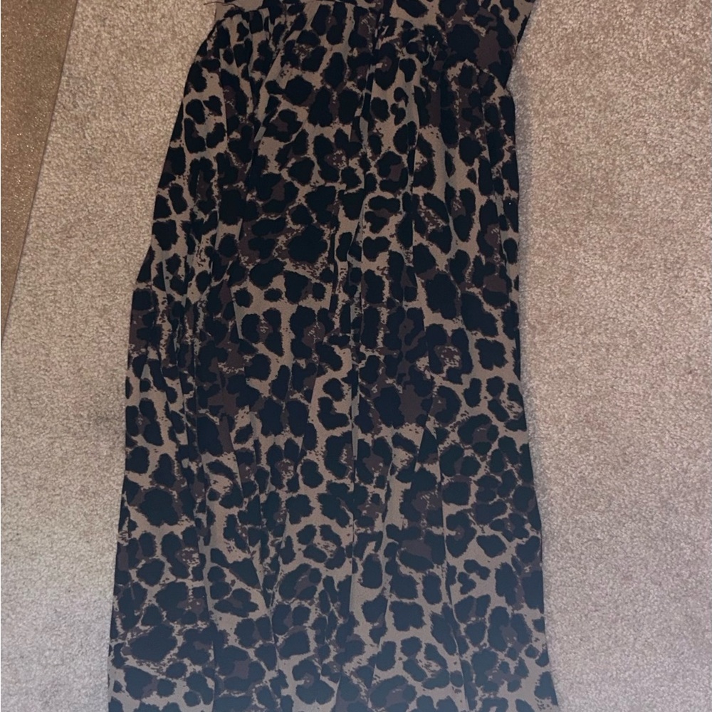 Francesca’s Animal Print Maxi Skirt